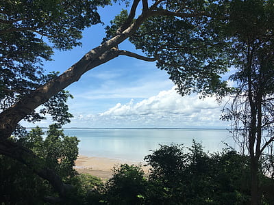 Trees on Beach Against Sky thumbnail
