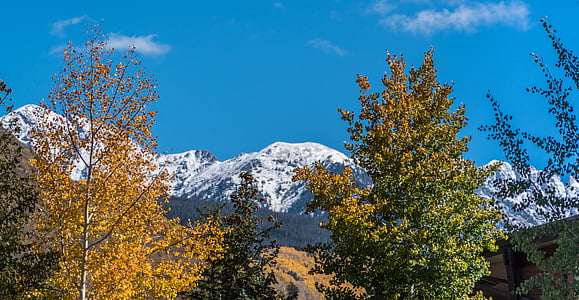 green and yellow leafed trees with view of mountain covered with snow during daytime thumbnail