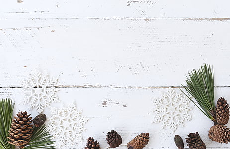 pine cones and snowflakes background thumbnail