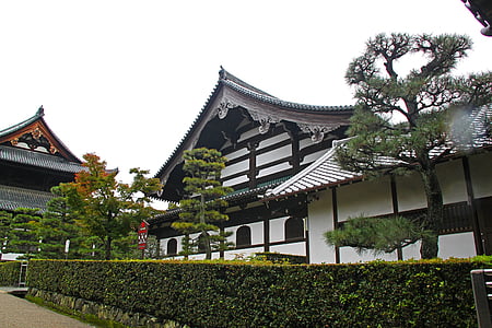 white pagoda beside trees thumbnail