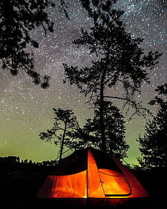 lightened orange dome tent surrounded by trees under starry sky at night time thumbnail