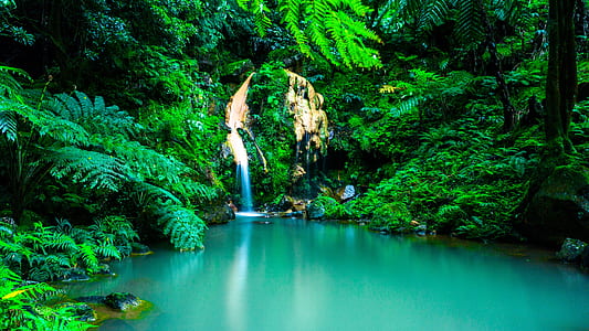 landscape photo of body of water between trees thumbnail