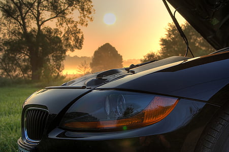 black BMW E90 near forest during golden hour thumbnail