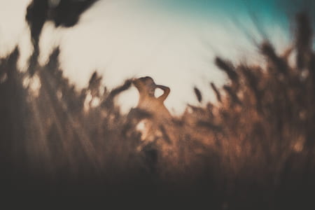 silhouette photo of woman standing near grass during daytime thumbnail