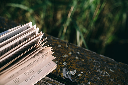 Reading book at lake thumbnail
