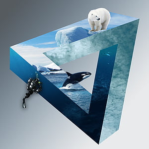 polar bear, orca, and scuba diver optical illusion thumbnail
