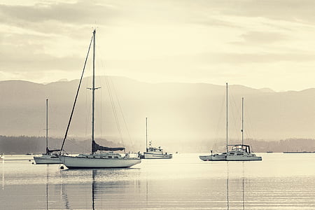 white sail boat on body of water thumbnail