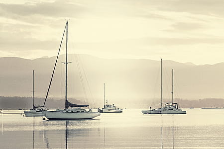 sea, dawn, sky, water thumbnail