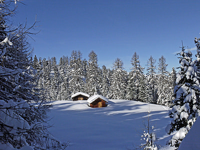 house on snow field surrounded of trees under calming sky thumbnail