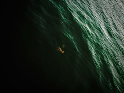 jellyfish underwater at daytime jellyfish underwater at daytime thumbnail