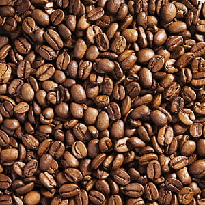 close-up photo of brown coffee beans thumbnail