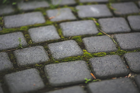 close-up photo of grey block pavement thumbnail