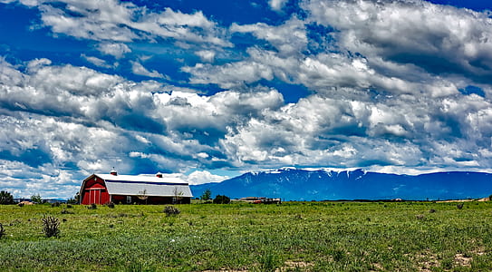 red and gray barn on green grass field thumbnail