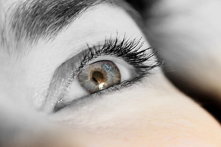 grayscale photography of right human eye thumbnail