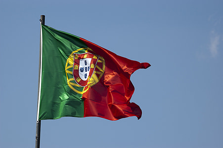 green and red flag thumbnail