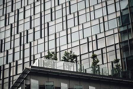 worm's eye view of glass building thumbnail