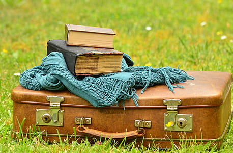 brown leather luggage on top of green grass thumbnail