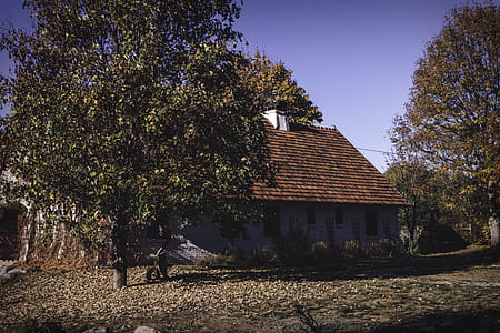 Brown Concrete House Beside Trees thumbnail