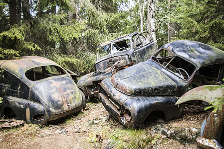 three dammage black cars in forest at daytime thumbnail