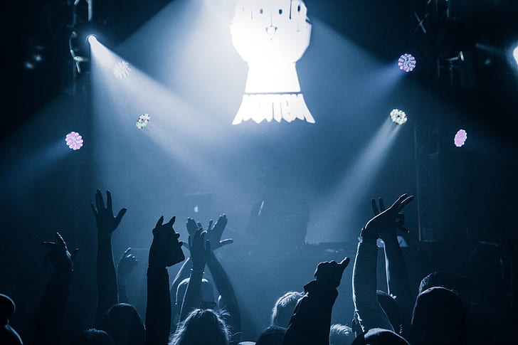 crowd of people watching concert