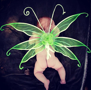 baby wearing green fairy wings thumbnail