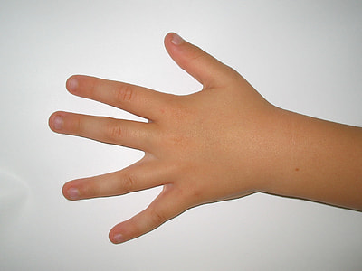 person's left hand thumbnail