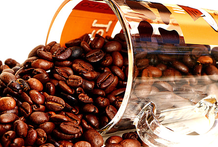 spilled coffee beans from glass mug thumbnail