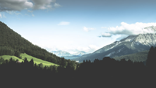 trees field and mountain alps at distance thumbnail