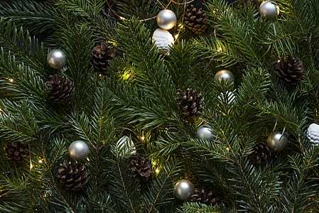 green spruce with pine cones and Christmas baubles thumbnail