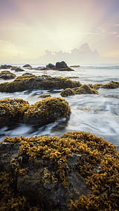 sea, dawn, landscape, sunset thumbnail