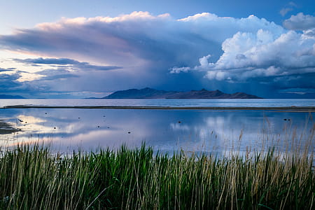 Green Grass And Body Of Water Under Blue Sky thumbnail