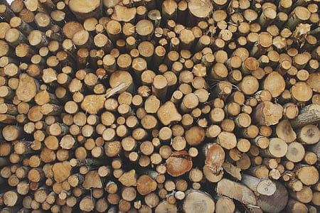 stack of brown logs thumbnail