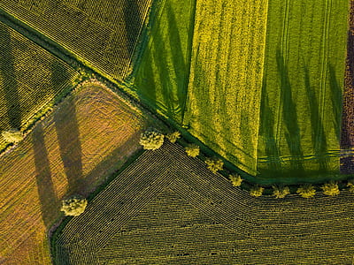aerial view of green grass field thumbnail