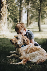 boy hugging labradoodle at the lawn thumbnail