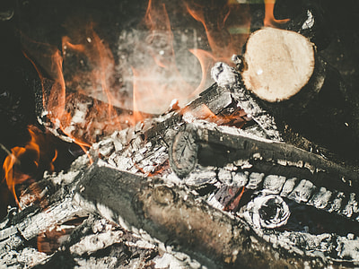close-up photography of fired wood thumbnail