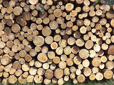 firewood pile thumbnail