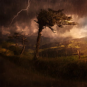 green tree under stormy weather thumbnail