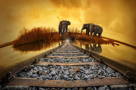 three elephants on brown grass artwork thumbnail
