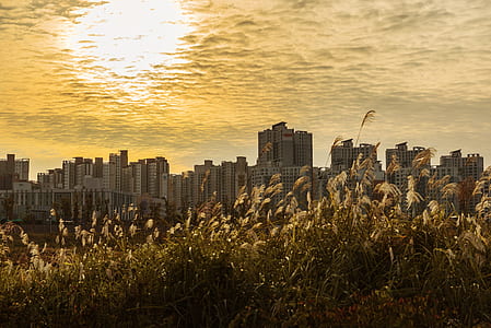 cityscape photography under cloudy sky thumbnail
