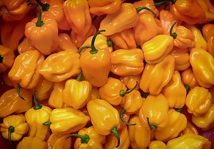 yellow bell pepper lot thumbnail