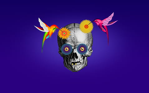 Dia de los Muertos - Day of the Dead - Illustration with Skull and Hummingbirds thumbnail