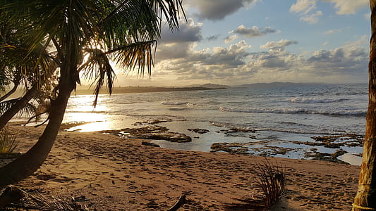 Landscape Photo of Beach Under Partly Cloudy Skies thumbnail