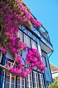 view of house thumbnail