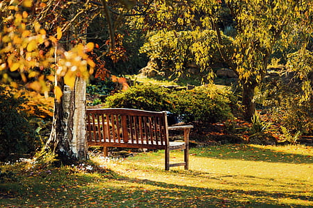 bench, landscape, nature, garden thumbnail