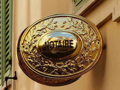 oval gold wall decoration thumbnail