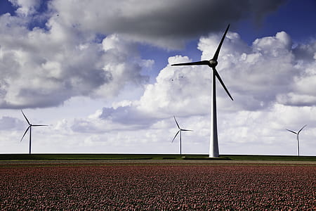four white windmills thumbnail