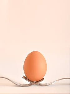 brown egg on gray forks thumbnail