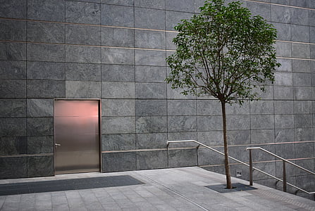brown tree beside stair rail thumbnail