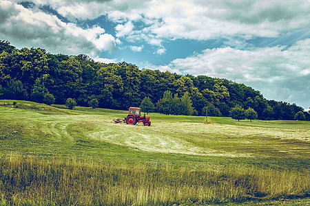 red tractor on grass field near trees thumbnail