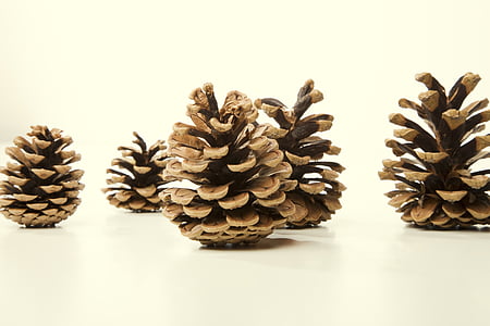 five brown pine cones on top of white surface thumbnail